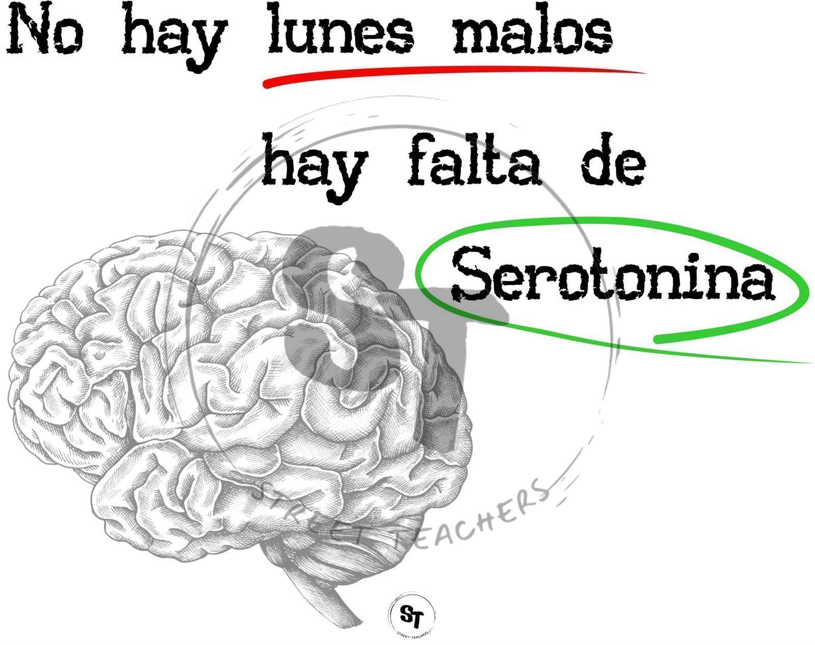 Taza Serotonina Lunes - Imagen 3